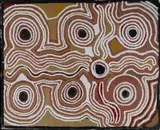 Gladys Tasman Napangardi, Bush Potato, Acrylic on Canvas