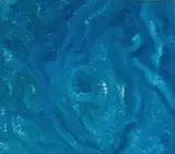 Faith Thompson Nelson, Ocean, 2001, Acrylic on Canvas