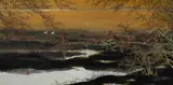 Yong Zhao, Chinese Landscape with Cranes, Ink & Gouache