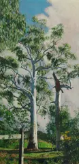 Brian Dunlop, Damaged Tree, 2009, Oil on Linen