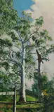 Brian Dunlop, Damaged Tree, 2009, Oil on Linen