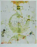 John Olsen, Frog Spawn