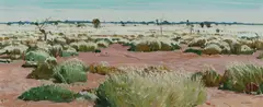 Max Ragless, Spinifex in Bloom, Oil on Board