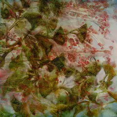 Richard Dunlop, Japanese Garden 4, 2005, Oil on Linen