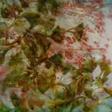 Richard Dunlop, Japanese Garden 4, 2005, Oil on Linen