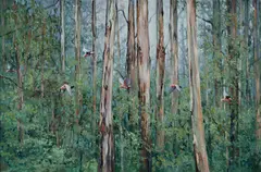 Paul Evans, Eucalypt Forest I, 1993, Oil on Board