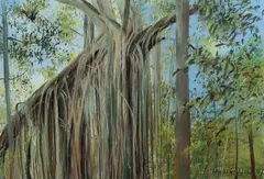 Curtain Fig Tree, Atherton Tablelands, Queensland by Charles Gosford, 1987, Pastel, offered Aug 2022