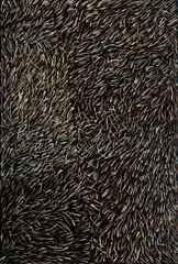 Barbara Weir, Grass Seed Dreaming, 1997, Acrylic on Linen