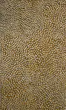 Mick Namarari Tjapaltjarri, Untitled (Mouse Dreaming), c.1995, Acrylic on Linen