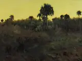 John Stanford, Evening Glow, Wetland Palms, Oil on Canvas