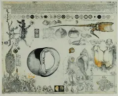 Jörg Schmeisser, Seashells, 1978, Coloured Etching 49/80