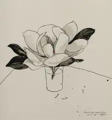 David Rose, Study 2 for Large Magnolia Etching, 1984, Ink & Wash