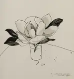 David Rose, Study 2 for Large Magnolia Etching, 1984, Ink & Wash