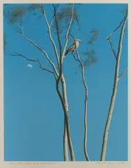 David Rose, Day Moon and Kookaburra, 1977, S/Print 18/60