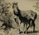 Cedric Emanuel, Mare and Foal, Charcoal