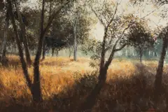 Howard Scott, Rum Jungle [Northern Territory], 1971, Oil on Canvas on Board
