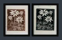 Amie Kingston, (2), Two versions of 'Flannel Flowers,' 1989, printed in brown and green