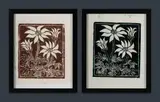 Amie Kingston, (2), Two versions of 'Flannel Flowers,' 1989, printed in brown and green