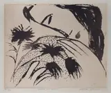 Charles Blackman, Leaves of Grass, Aquatint A/P vi/vi (ed. 50)