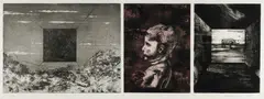 Richard Goodwin, Untitled (Rhinoceros), 1989, 3-Plate Etching with Aquatint 6/18