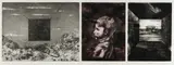 Richard Goodwin, Untitled (Rhinoceros), 1989, 3-Plate Etching with Aquatint 6/18