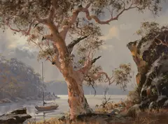 Brian Baigent, Angophora Gum, Crown Waters (NSW), Oil on Canvas on Board