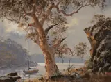 Brian Baigent, Angophora Gum, Crown Waters (NSW), Oil on Canvas on Board