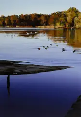Neil Taylor, The Lake II - Afternoon Birds, 2003, Acrylic