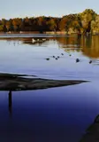 Neil Taylor, The Lake II - Afternoon Birds, 2003, Acrylic