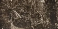 John William Lindt, Morley's Creek, Black's Spur, Victoria Austr[alia], This title inscribed verso in pencil by J W Lindt; also signed & no. #4