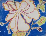 Malcolm de Chazal, White Hibiscus, Gouache