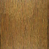 Alice Nampijinpa, Swamp at Talaalpi, 2006, Acrylic on Linen
