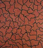 Glory Ngale, Yam Dreaming, Acrylic on Canvas