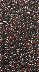 Bush Medicine Dreamtime by Gloria Tamerre Petyarre, 2007, Acrylic on Canvas, sold May 2022