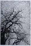 Patricia Mado, Autumn, 2009, Woodcut 2/50