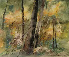 Margaret Coen, Afternoon Light Through Bush, 1974, W/Clr & Gouache