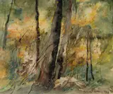 Margaret Coen, Afternoon Light Through Bush, 1974, W/Clr & Gouache