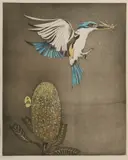 Elaine Haxton, Kingfisher, 1977, Hand Coloured Etching 3/25