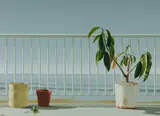 Peter Moller, Balcony, Oil on Canvas