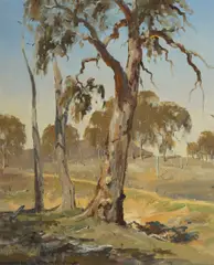 Doug Sealy, Old Gum, Oil on Canvas on Board