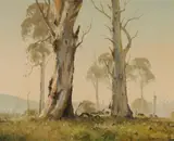 Les Graham, Gums of the High Country, Oil on Canvas Board