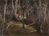 Dry Creek Bed, Wyangala by Allan Waite, Oil on Board, sold Mar 2022