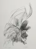 Roch Popelier, Rooster, Etching E/A