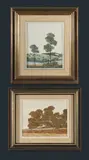 Michael John Taylor, (2), Oil on Board (2)