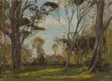 Will Ashton, Bush Clearing, Oil on Canvas Board