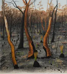 David George Rose, After the Fires at Kariong [NSW], 1989, S/Print 16/90