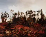 Peter Jarver, Australian Landscape, 1987, Colour Cibachrome Photograph 5/50