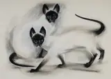 Frank Hinder, Two Siamese Cats, 1964, Unsigned; on Canson watermarked paper