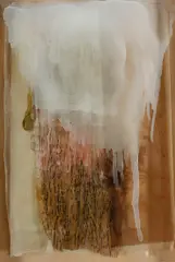 Janet Laurence, The Serbelloni Works, 1997, Mixed Media Collage in Box Frame