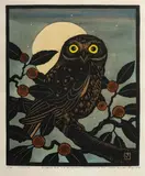 Leslie van der Sluys, Boobook Owl and Australian Cheesewood Tree, 1984/87, Linocut 2/90 (H.C VIII - 87)
